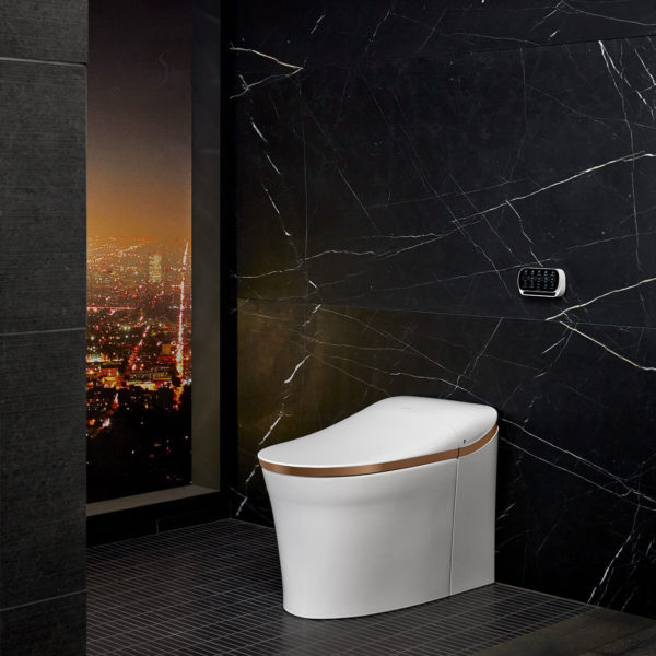 Eir Toilet with Sunrise Band