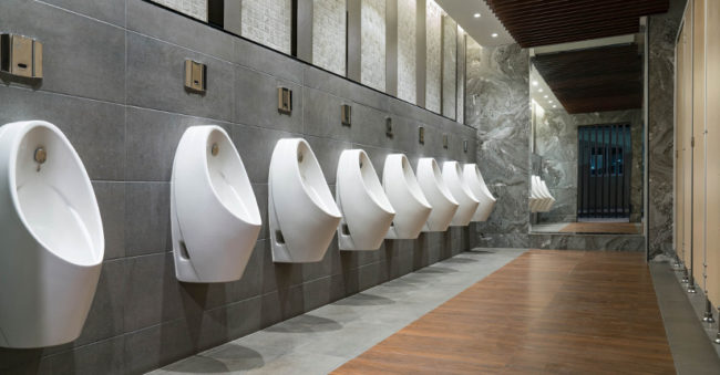 auto flush toilets