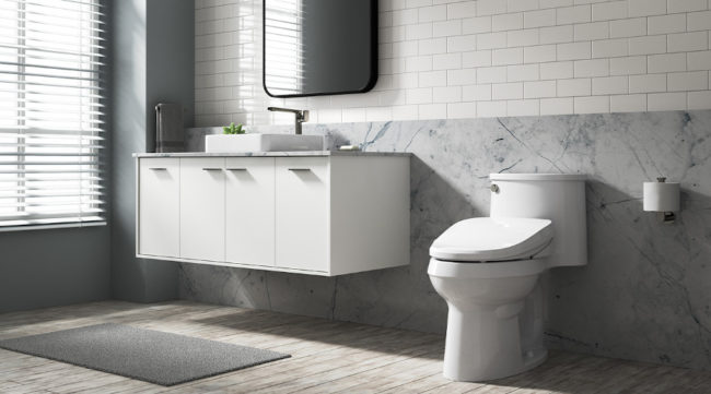 bidet toilet seat
