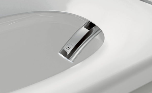 A bidet toilet seat is a popular bathroom fixture today.