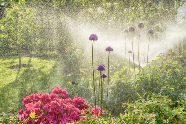 Irrigation systems create beautiful gardens